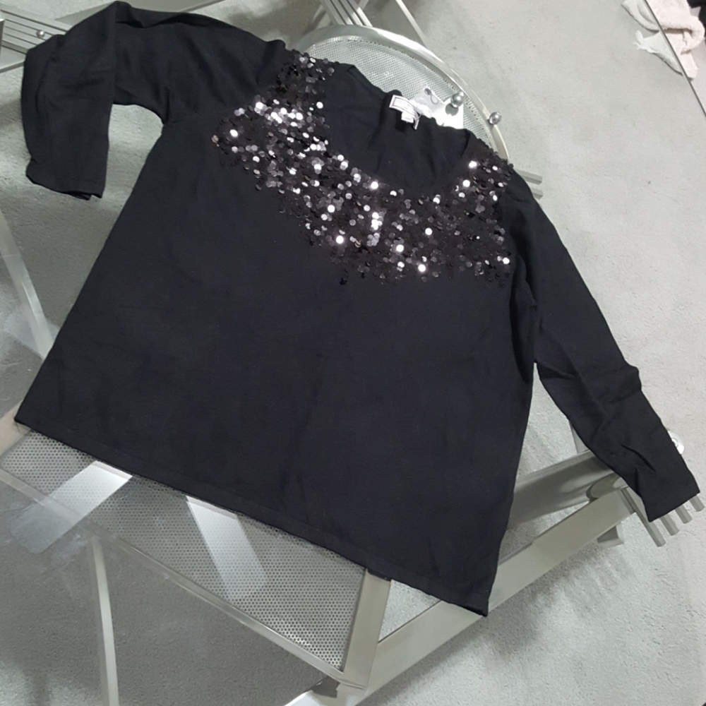 Simonton says sequin top sweater. 1x